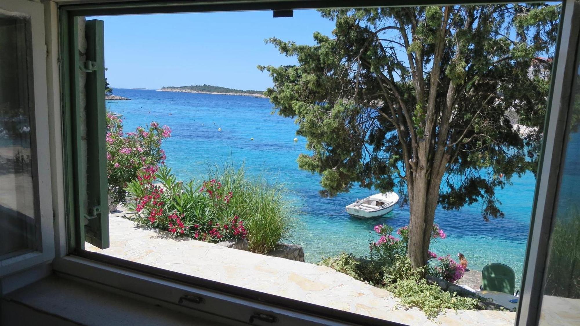 Orhideja Apartamento
